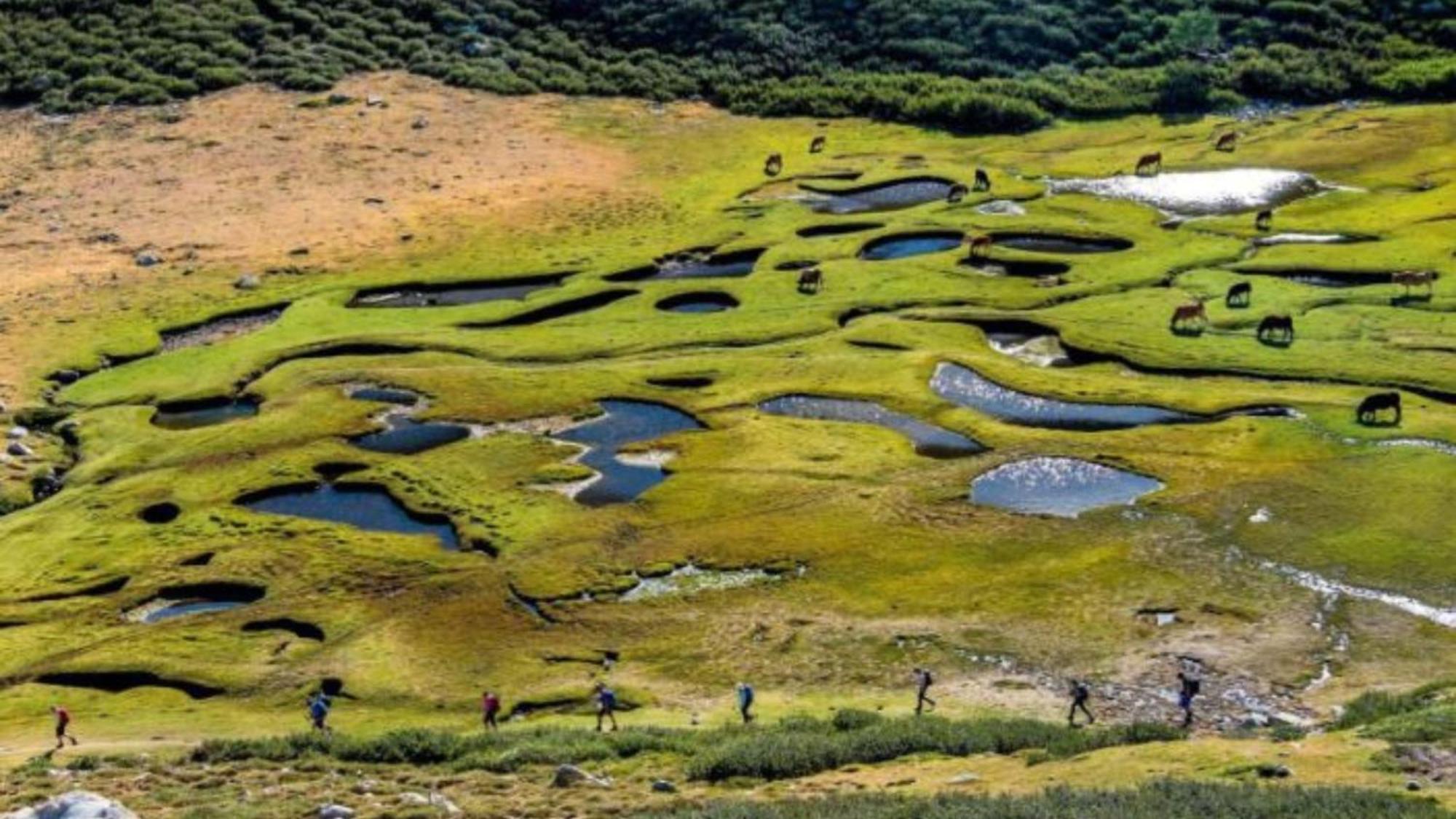 Hotel Domaine Le Mouflon D'Or Zonza Zewnętrze zdjęcie